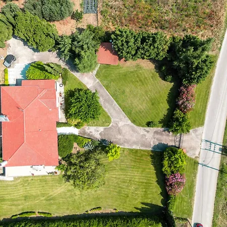 Bougainvillea Tatil Evi