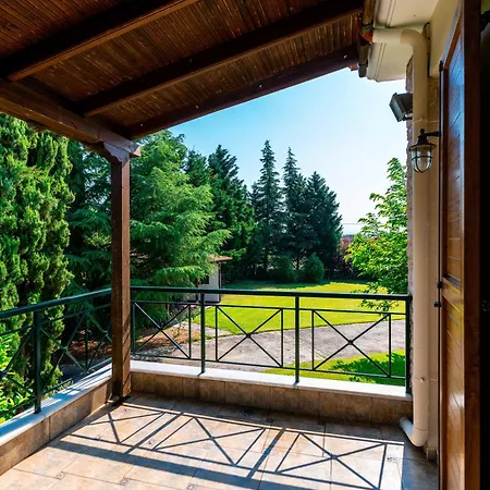 Bougainvillea Epanomi