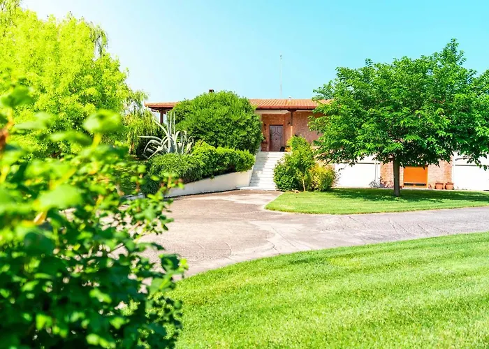 Bougainvillea אפאנומי