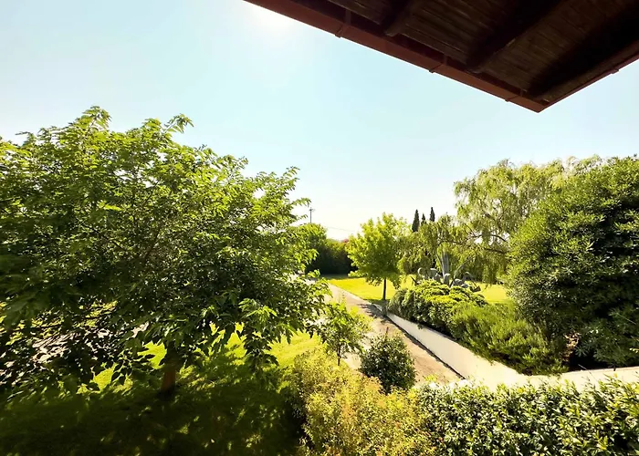 Bougainvillea * אפאנומי