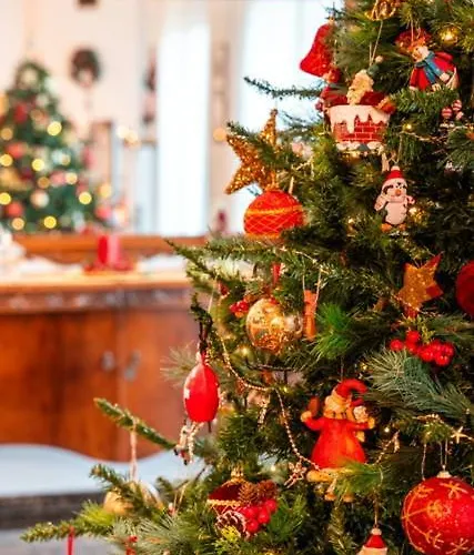 בית נופש Bougainvillea אפאנומי