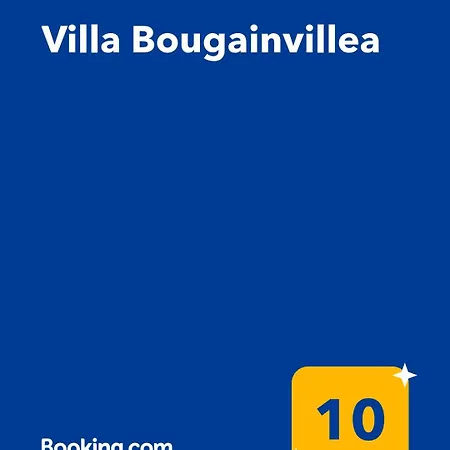 Bougainvillea