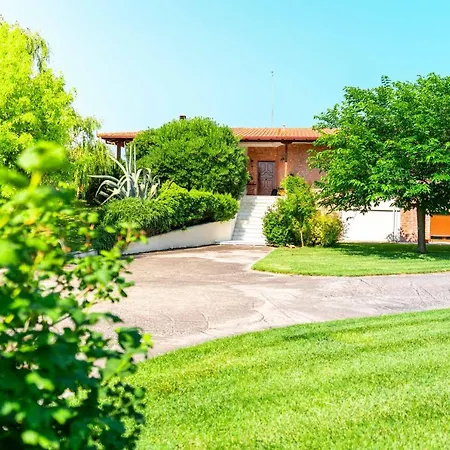Bougainvillea Epanomí