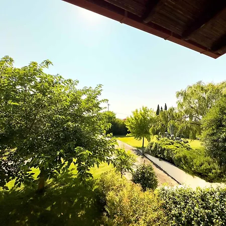 Bougainvillea * Epanomí